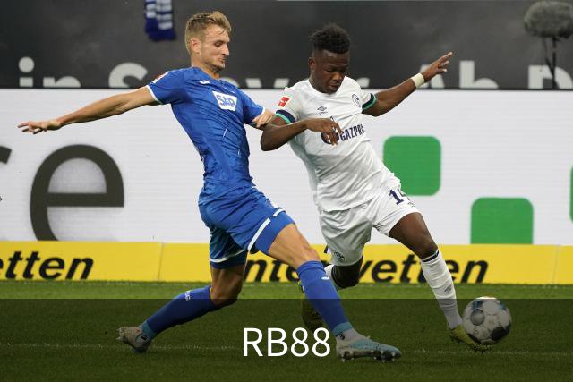 RB88公司简介展示图